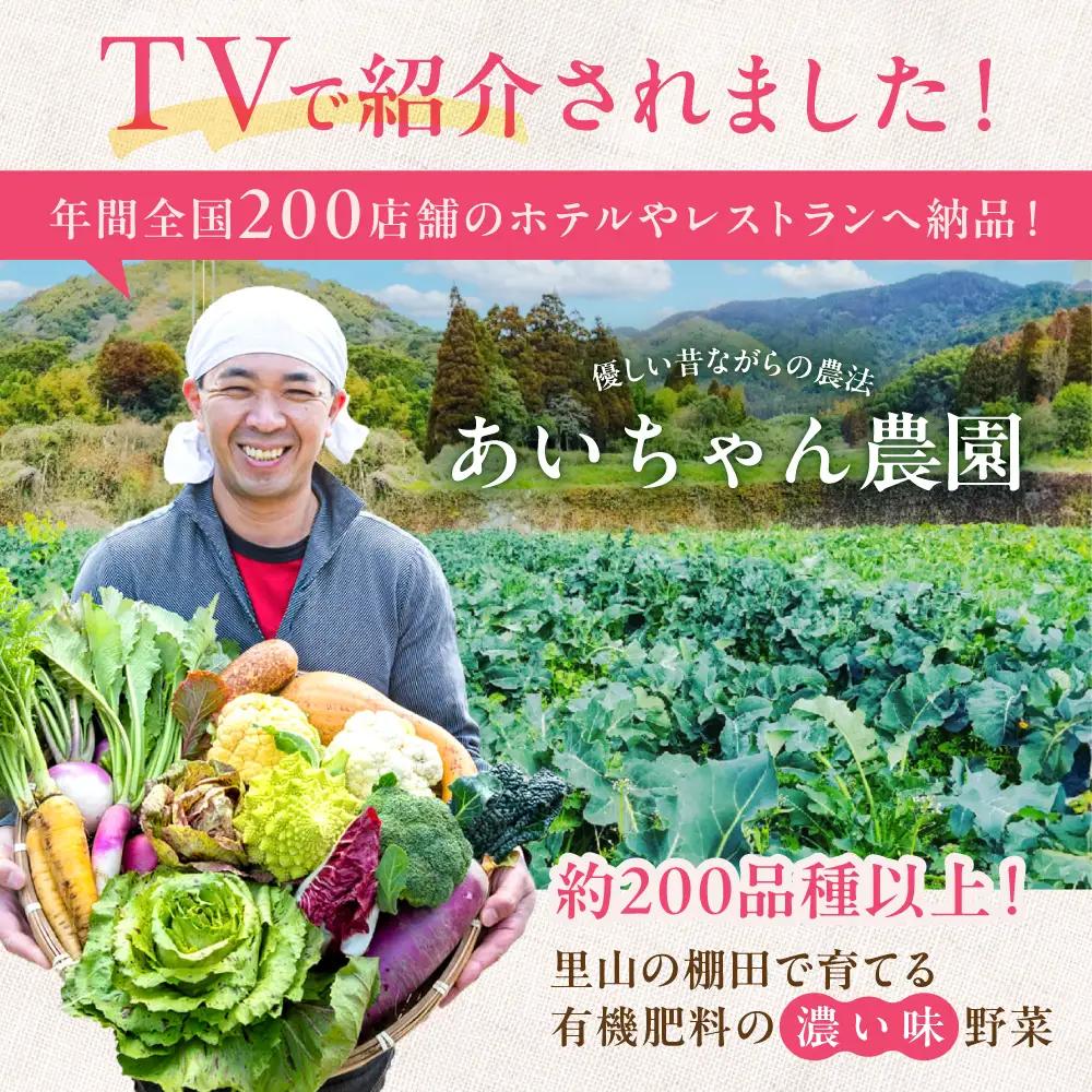 【12品】農薬に頼らない！カラダにやさしい「よしのがり野菜」セット（レギュラー）吉野ヶ里あいちゃん農園  [FAA005]