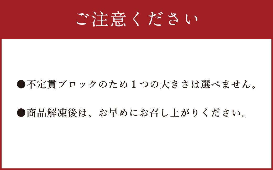 【フジチク】国産 馬刺し 赤身 600g