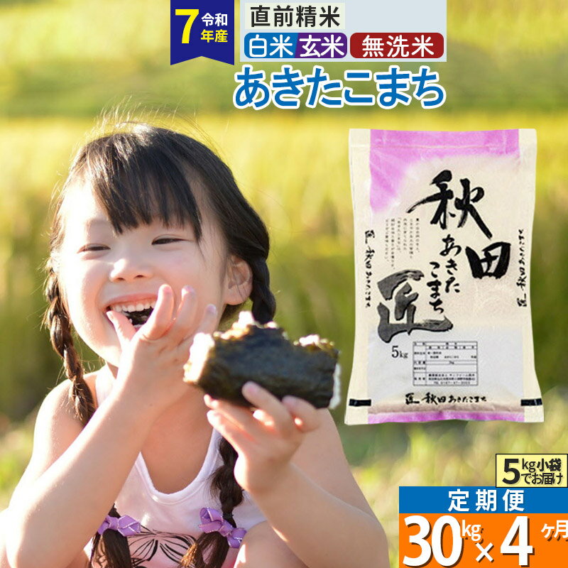 【ふるさと納税】【白米／玄米／無洗米】※R7※《定期便4ヶ月》秋田県産 あきたこまち 30kg (5kg×6袋)×4回 令和7年産 お米 匠
