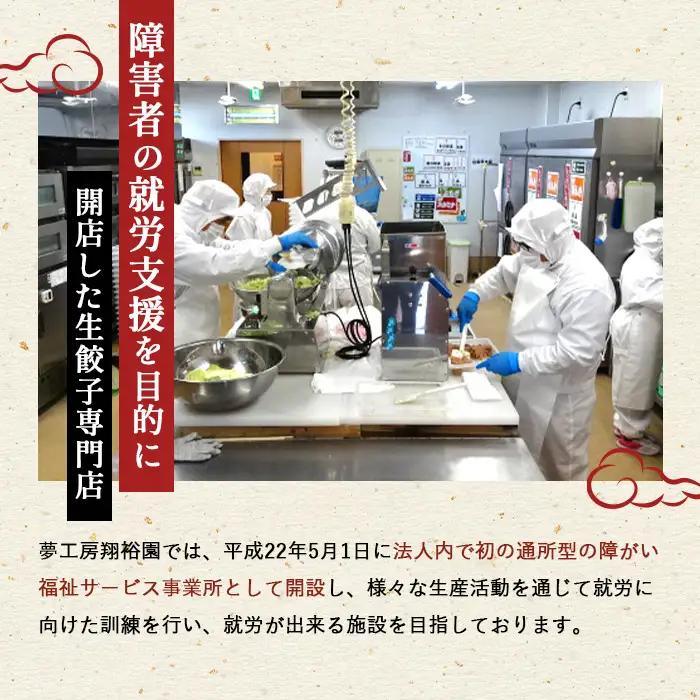 げんき餃子56個セット 冷凍生餃子 ギョーザ専門店 中華総菜 点心もちもち パリパリ No.011