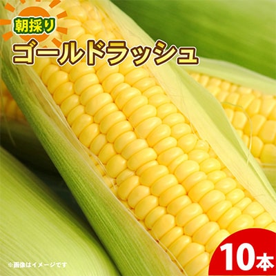 京都府久御山町 とうもろこし 10本【配送不可地域：離島・北海道・沖縄県・東北】