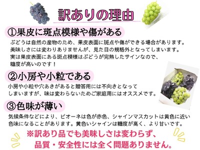 【訳あり】岡山県産 林ファミリーのピオーネ 約1.2kg（約2～3房） 【2025年先行予約】 / ご家庭用 岡山 真庭市 ぶどう 果物 フルーツ 【hfami018】