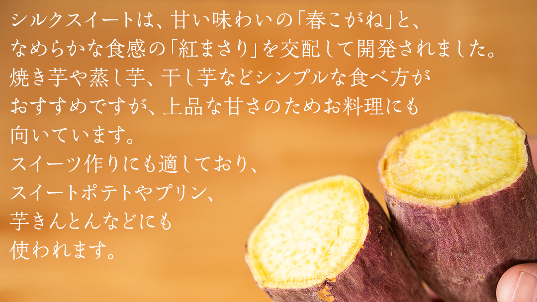 【 塚田商店 】 井上さつま 「 シルクスイート 」 5kg ( 2Lサイズ ) 新物 ブランド芋 茨城県産 筑西市産 さつまいも サツマイモ いも 芋 イモ [BD042ci]