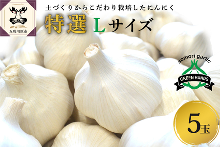 【先行受付】【8月下旬より順次発送】 にんにく　青森県産にんにく (特選)Lサイズ5玉 ホワイト六片 ガーリック ニンニク お試し ホワイト六片 青森にんにく 五所川原