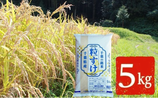 令和7年産 特A評価 粒すけ 精米 5kg | 千葉ブランド米 新品種 大粒 しっかり食感 粘り ご飯 おにぎり お弁当 朝食｜千葉県 君津市