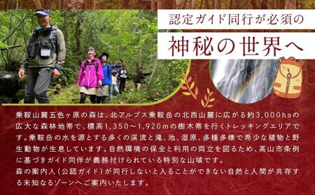 平湯温泉「匠の宿 深山桜庵」2泊3日 ＆ 五色ヶ原の森トレッキング（カモシカコース）＋送迎付き【期間限定:2025年/2026年6月～10月】| 温泉 宿泊券 五色ヶ原の森  トレッキング 飛騨高山 