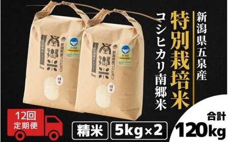 【令和6年産新米】〈12回定期便〉特別栽培米コシヒカリ100％「南郷米」精米 10kg（5kg×2袋）［2024年9月中旬以降順次発送］ 有限会社ファームみなみの郷