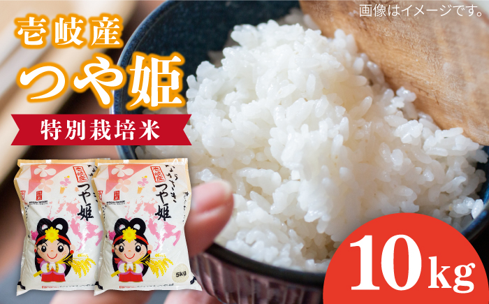 壱岐産 つや姫 10kg 《壱岐市》【壱岐市農業協同組合】 米 お米 ご飯 お弁当 常温発送 [JBO143] 30000 30000円