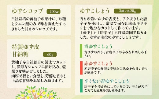 (B)「銀の柚子」製品詰め合わせ ゆずこしょう・ゆずポン酢など<1.4-7>加工品 調味料 ギフト 柚子 ゆず 宮崎県西都市 決済から30日前後での発送
