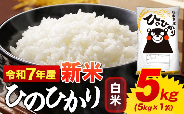 
            新米 白米 ひのひかり 5kg 令和7年産  熊本県産 ふるさと納税  白米 精米 ひの 米 こめ ふるさとのうぜい ヒノヒカリ コメ お米 おこめ  《12月中旬-2月末頃出荷》
          