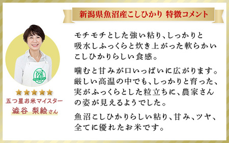 C2-6K103B【3ヶ月連続お届け】新潟県魚沼産コシヒカリ10kg（5kg×2袋）（長岡川口地域）