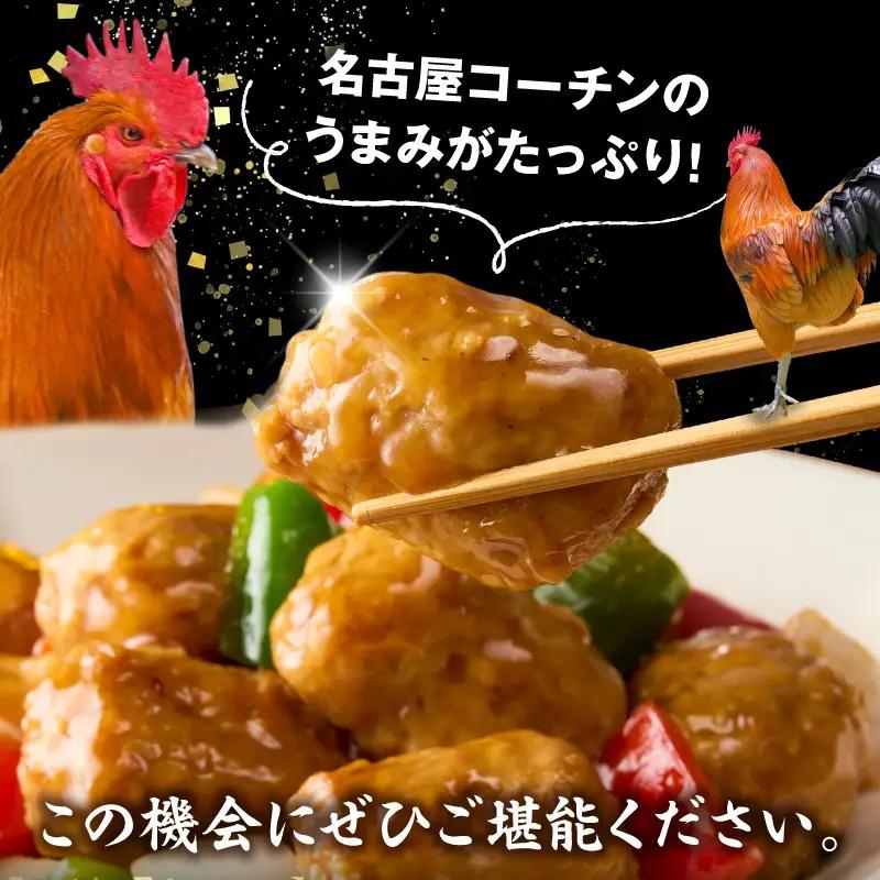 名古屋コーチン入りチキンボール　だししょうゆ味　黒酢あんかけ味　セット ［001T13］ 名古屋コーチン チキンボール 合計840g 15個×4パック だししょうゆ 黒酢あんかけ 日本三大地鶏 地鶏 