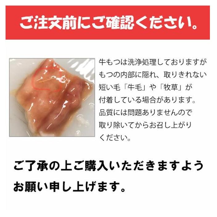 博多水炊き風もつ鍋　2～3人前