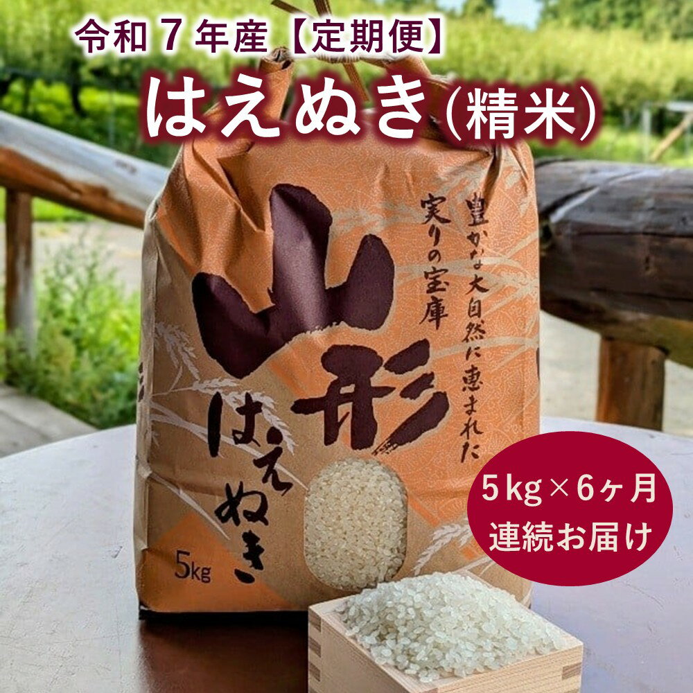 【ふるさと納税】【 定期便 】 令和7年産 はえぬき ( 精米 ) 5kg × 6か月 連続お届け 米 山形県 上山市 0011-2510