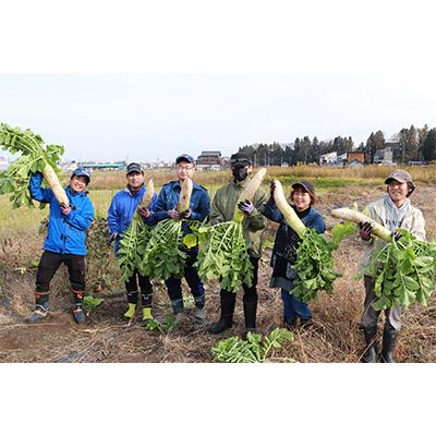 ふるさと納税 十日町市 【毎月定期便】サラダ専用切り干し大根「ドライJラディッシュ」2袋【障がい者支援の返礼品】全12回 |  | 01
