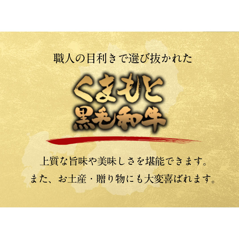 牛肉 【6ヶ月定期便】くまもと黒毛和牛 すき焼き用 500g 《お申込み月の翌月から出荷開始》 南阿蘇食品---sms_fkmkgsktei_23_113000_mo6num1---