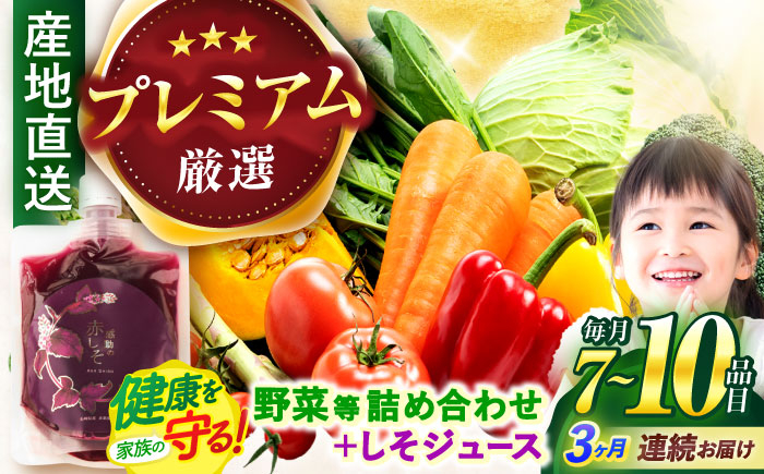 
【全3回定期便】【プレミアム】野菜・果物・きのこ詰め合わせ 7〜10品目 / 野菜 やさい 果物 くだもの フルーツ ふるーつ きのこ 旬 新鮮 セット / 諫早市 / 松尾農園 [AHAY018]
