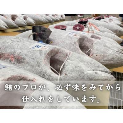 ふるさと納税 三浦市 目鉢まぐろ漬け丼用　100g×5P |  | 01