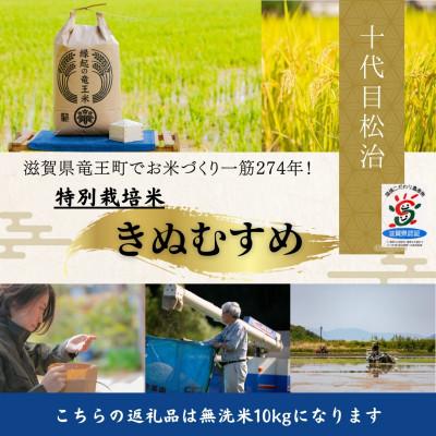 ふるさと納税 竜王町 【令和7年産新米】特別栽培米きぬむすめ 無洗米10kg　十代目松治の「縁起の竜王米」