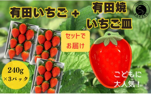 
										
										【2025年2月～順次発送】みゆきファーム 有田いちご＋有田焼いちご皿セット 有機肥料にこだわった美味しいいちごです / いちごさん F18-35
									