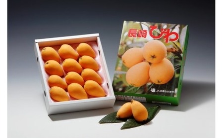 ＜先行予約＞長崎ハウスびわ 500g（2025年3月下旬より順次発送）
