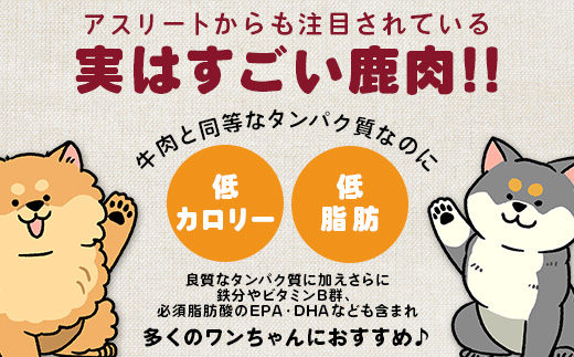ワンちゃんのペットフード鹿肉小間切れ 3キロ（冷凍250g×12パック）［徳島 那賀 国産 徳島県産 ジビエ いぬ イヌ 犬 わんちゃん ワンちゃん ごはん えさ エサ 餌 高タンパク 低カロリー ド