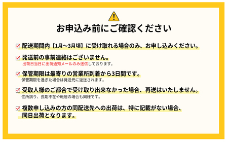 3Z1  暖家のいちご　ギフト用完熟あまおう（８粒～９粒）×2パック