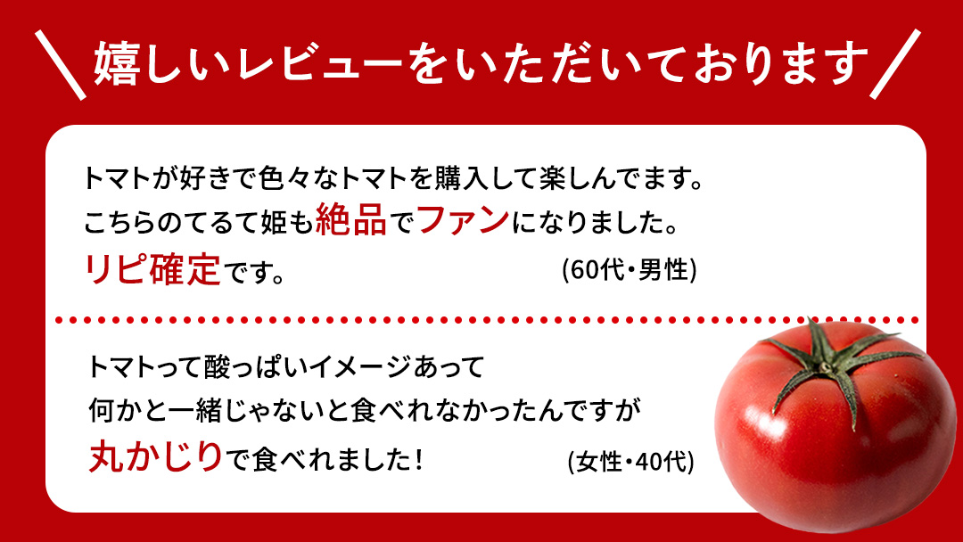 【母の日専用】 スーパーフルーツトマト てるて姫 大箱 約2.6kg ×1箱 糖度9度以上 《5月4日～10日お届け メッセージカード付》 トマト とまと 野菜 母の日 ギフト 贈り物 プレゼント 感