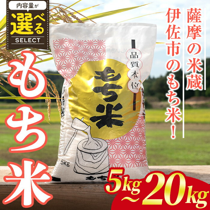 【ふるさと納税】＜内容量が選べる！＞鹿児島県産もち米(5kg or 10kg or 20kg) 国産 鹿児島県 餅米 お米 おはぎ 赤飯 おこわ 伊佐米 【赤崎農園】