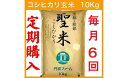 【ふるさと納税】【令和6年産 新米】【定期便6回】【毎月15日お届け】京都府産コシヒカリ 玄米 60kg(10kg×6回) 半年 定期便 お米 米 白米 精米 こしひかり 国産 京都 綾部【送料無料】