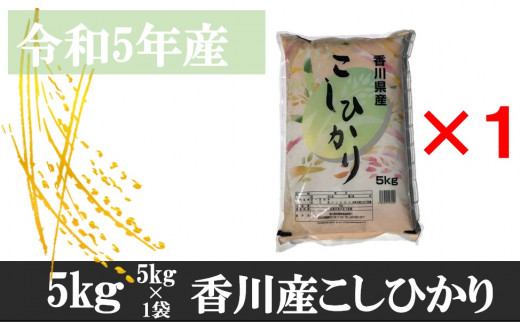 995-9　令和5年産香川県産こしひかり　5ｋｇ　紙袋配送【9月配送】