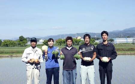 【定期便6回】旬の朝採れ土佐野菜詰め合わせ（10～13品目）詰め合わせ 野菜セット 野菜 ギフト やさいセット お取り寄せグルメ 家庭用 旬野菜 新鮮 特産 農薬不要 食材
