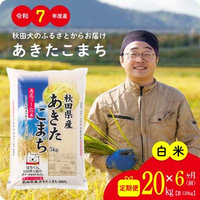 ふるさと納税 大館市 【定期便6ヶ月】令和7年産秋田県産あきたこまち(白米)20kg