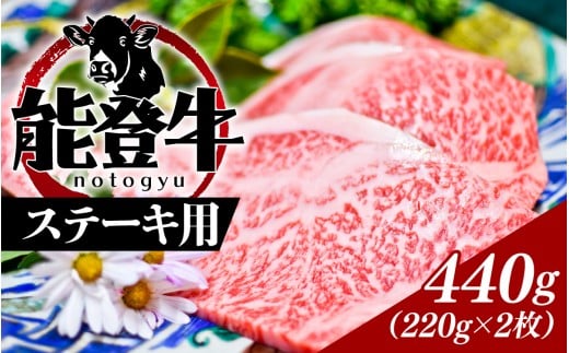 能登のブランド牛をご自宅で！ 能登牛 ステーキ用 440g（220g × 2枚）| 冷凍便 肉 牛肉 奥能登 能登半島 国産 ステーキ肉 ブランド牛 和牛 黒毛和種 黒毛和牛 送料無料