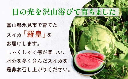 【先行予約】富山県産スイカ 羅皇 中玉 1玉 （3-4kg/玉） 【2026年8月以降順次発送】 スイカ 夏 果物 フルーツ 富山県 氷見市