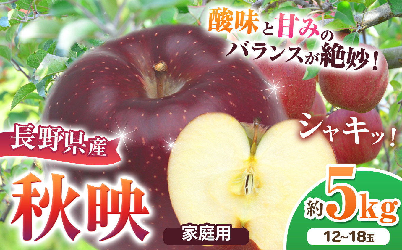 
            家庭用 秋映 約5kg 【2026年先行予約】 ｜ 北條農園 リンゴ りんご 林檎 果物 フルーツ 果実 果汁  秋映 家庭用 長野県 松川村 信州
          