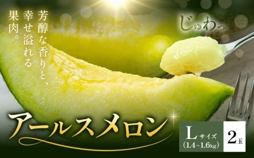 アールスメロン  2玉 Lサイズ メロン《4月上旬～11月中旬に順次発送予定》熊本県 菊池市 果物 フルーツ 青果物 菊池市産 熊本県産 九州産 国産 送料無料