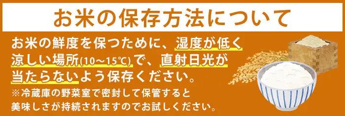 国産 鹿児島県産 ひおきのおこめ 無洗米 10kg No.599 正留産業