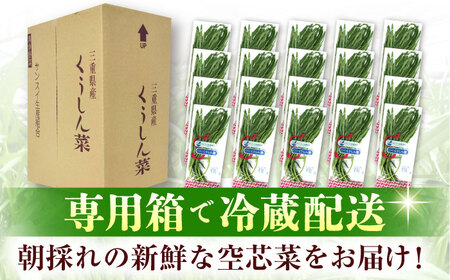 新鮮朝採れ くうしん菜 大容量パック 20袋 / 亀山市 / グリーンハウス吉田[AMCD001]
