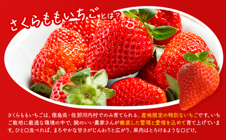 さくらももいちご 4パック 佐那河内村限定 いちご
