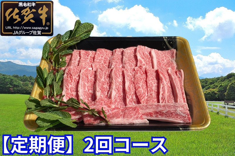 
            【定期便】【2回】佐賀牛カルビ 焼き肉用 500g
          