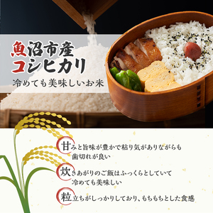 令和7年産【雪国逸品 精米5kg】越後魚沼郷 魚沼産コシヒカリ お米 人 自然調和 ミネラル 奇跡 自然環境 努カ 香り つや 粘り 極上