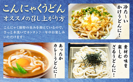 こんにゃくうどん 10袋 (1袋 150g)