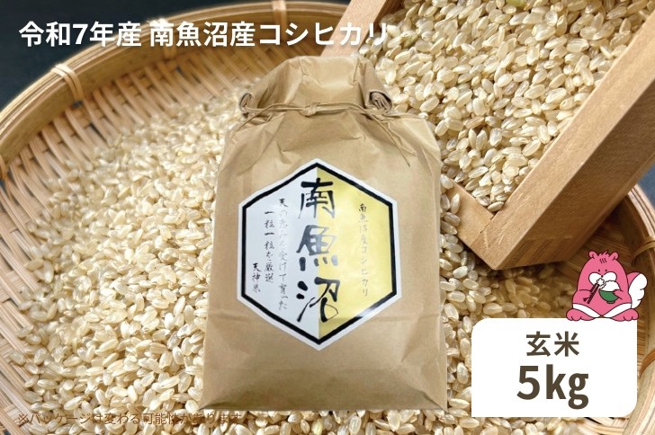 
            令和7年産 5kg〈玄米〉越後湯沢産 南魚沼産 コシヒカリ 豪雪を源とする水の恵み【湯沢産 コシヒカリ】
          