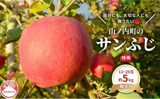 【2026年12月発送】贈りたい味、笑顔届ける　 山ノ内育ちのりんご　サンふじ　贈答用　特秀5kg りんご 果物