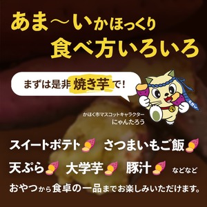 【先行予約】かほっくり 5kg （1箱）  |  さつまいも さつまいも