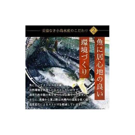 乙女ブリ 1本 4~5kg 三枚におろす（皮つき、アラ入り） 丸ごと一本 ブランド鰤 極みブリ 冷蔵 ブリ しゃぶ 高知県 須崎市 高知 鰤 年末 正月 KS036
