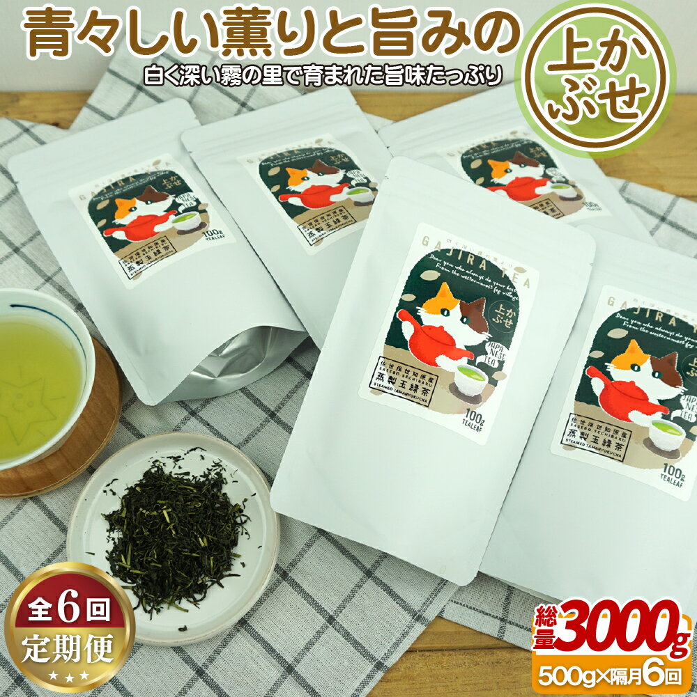 【ふるさと納税】世知原茶 青々しい薫りと旨みの上かぶせ 【6回定期便】 88000円