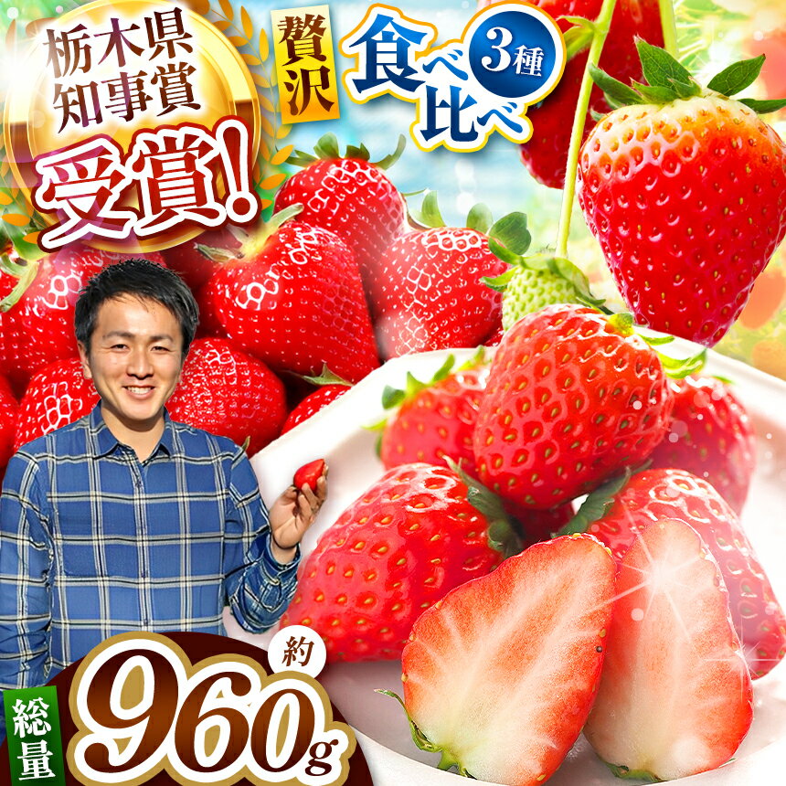 【ふるさと納税】【先行予約】【数量限定】 年末年始にお届け！贅沢な栃木のいちご3種食べ比べセット＜2025年12月から2026年1月までの期間で収穫・順次発送予定＞｜とちあいか とちおとめ スカイベリー いちご 苺 フルーツ 果物 産地直送 栃木県 矢板市