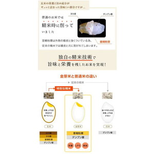【 金芽米 】愛知県 美浜町産 にじのきらめき 5kg 無洗米｜米 糖質オフ